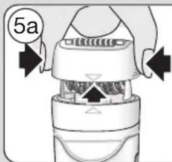 5a