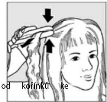 od kořínků ke
