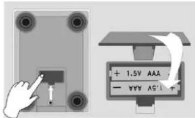 + 1.5V AAA - +V/V AS'1+