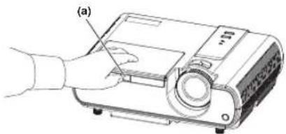 (a)
