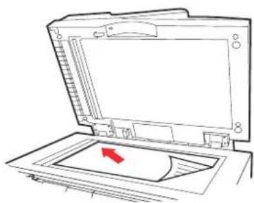 OKI MC560dn - Pokládání dokumentů na sklo - 1