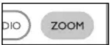 DIO ZOOM