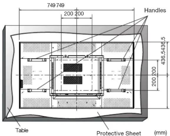 749 749 200 200 Handles 436.5436.5 200 200 Table Protective Sheet (mm)