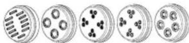 Eta Gratus - III.8) Pasta formers (I1 - I5) - 1