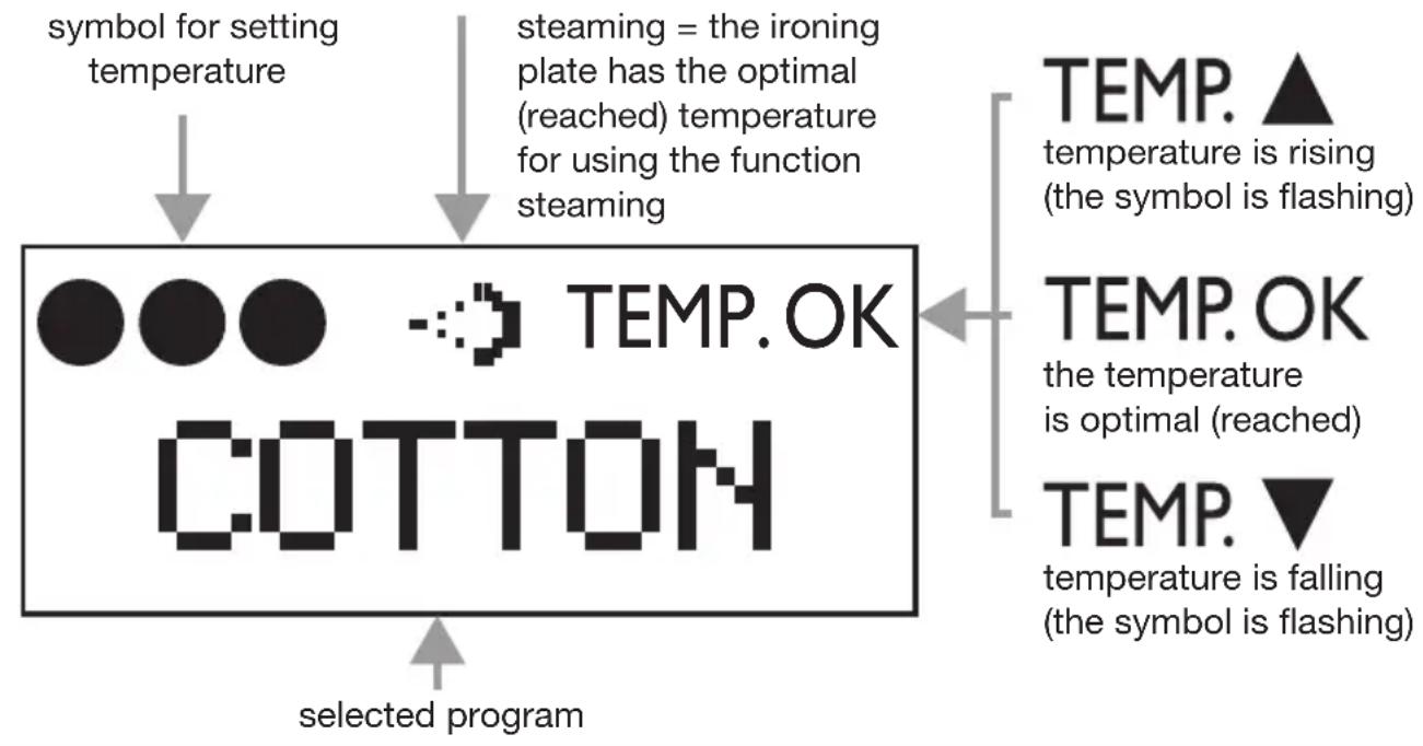 Eta Digi Lancetta - Description of information shown on the display - 1