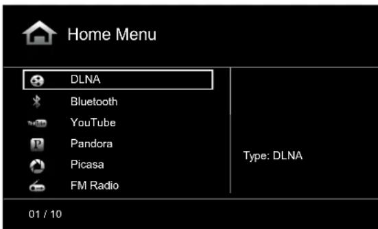 Home Menu DLNA Bluetooth YouTube Pandora Picasa FM Radio Type: DLNA 01 / 10