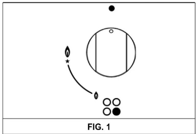 FIG. 1