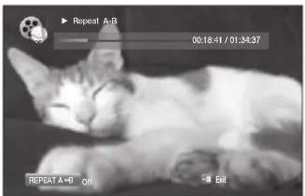 SAMSUNG HT-BD1250R - Using the A-B Repeat function - 2