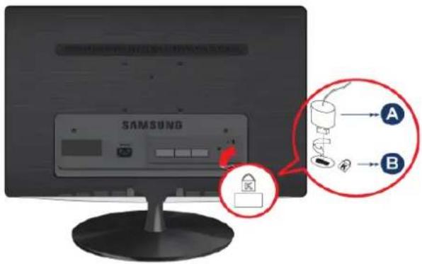 SAMSUNG SyncMaster B1930NW - Kensingtonský zámek - 1