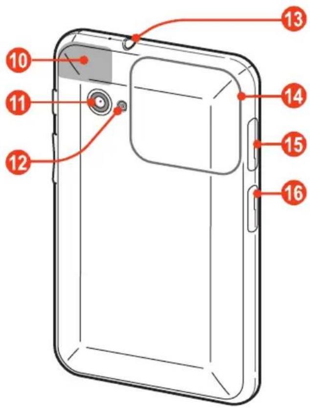 SAMSUNG Galaxy Tab Plus - Pohled zezadu - 1