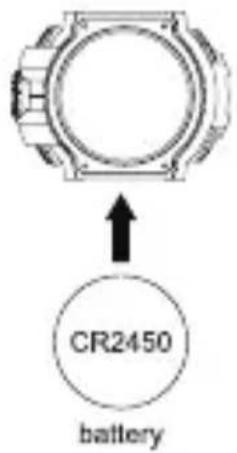 CR2450 battery