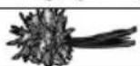 Zelmer ZHB1004S - 23