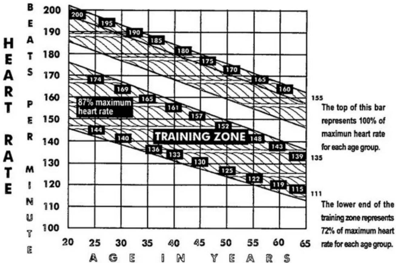 York Fitness Cardiofit 3200 - CAUTION - 2