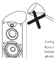 Wharfedale Opus 2 M1 - Looking After Your Loudspeaker - 3