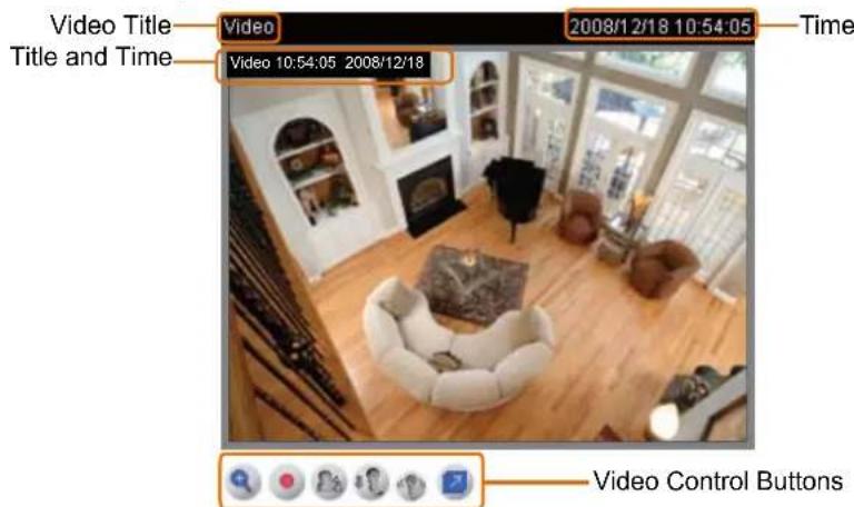 Vivotek IP7138 - Live Video Window - 4