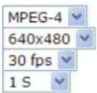 Vivotek IP7133 - ■ Mode - 1