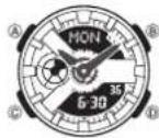 CASIO Baby-G BA-110-4A2ER - About This Manual - 2