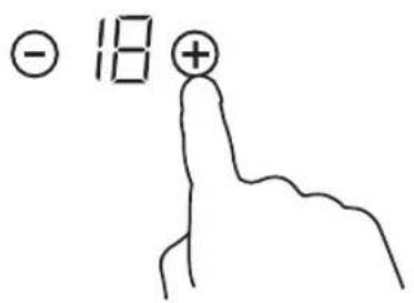 - 18 + ↑