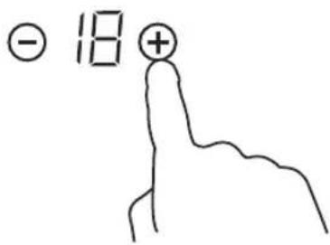 - 18 + ↑
