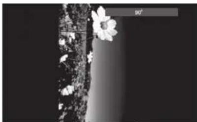 Logik L72PDT13E - Spela upp MPEG4/JPEG bild-CD - 2