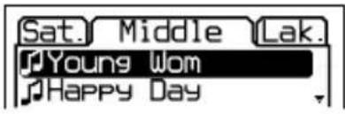 Sat. Middle Lak. Young Wom Happy Day