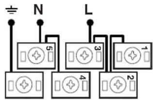 N L 5 3 1 4 2