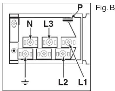 Fig. B N L3 P L2 L1