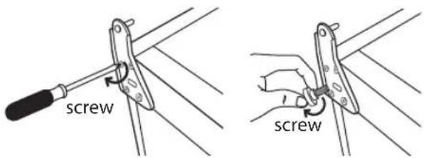 screw screw
