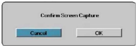 Confirm Screen Capture Cancel OK