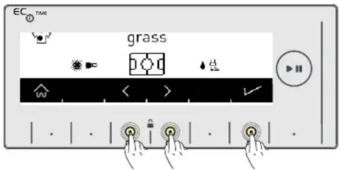 EC TIME grass