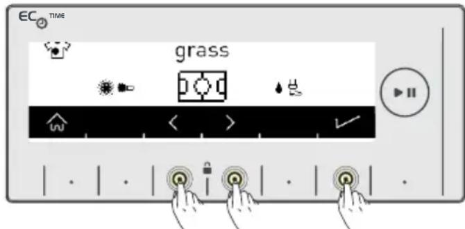 EC TIME grass