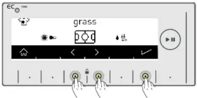 EC TIME grass