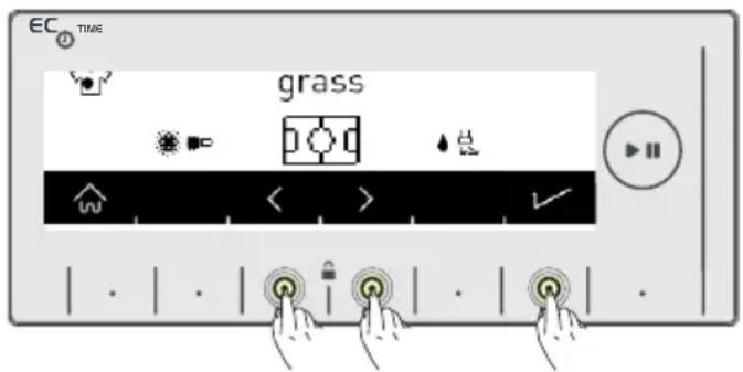 EC TIME grass
