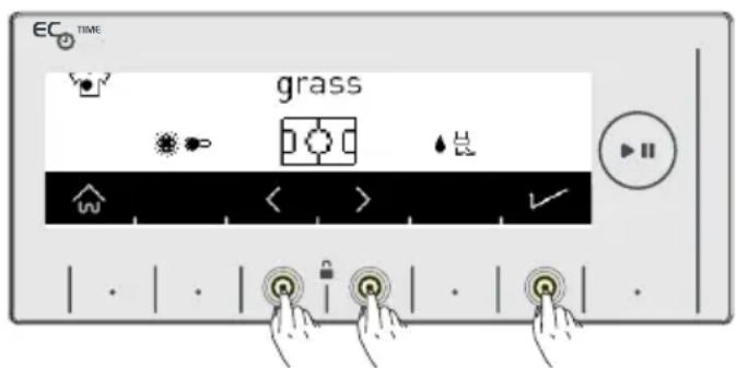 EC TIME grass