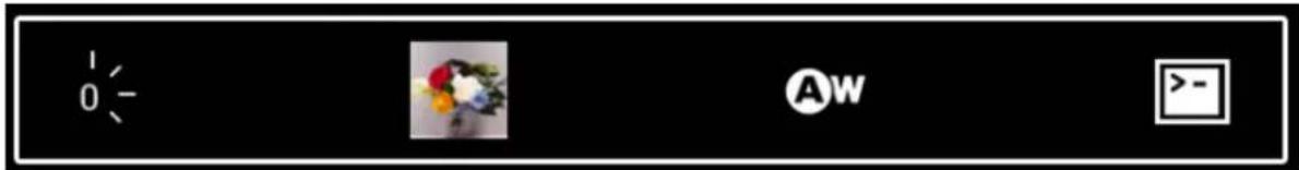 1 0 - AW >-