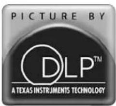 PICTURE BY DLP™ A TEXAS INSTRUMENTS TECHNOLOGY