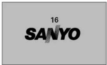 SANYO PLC-XL51A - CAUTION ON HANDLING THE PIN CODE - 1