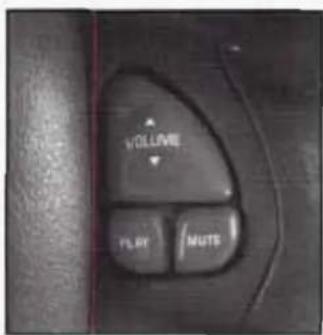 VOLUME PLAY MUTE