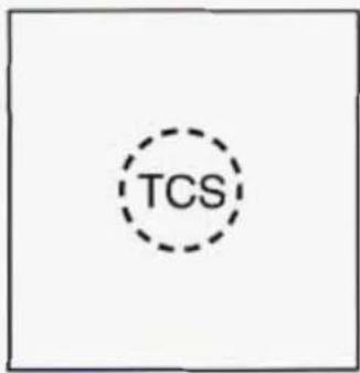 TCS