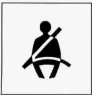 CADILLAC Deville (1997) - Safety Belt Reminder Light - 1