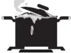 SCHNEIDER SCG 6020X - Using Gas Burners: - 3