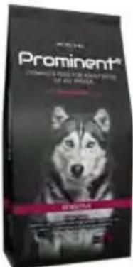 Hecht 738 - Prominent dog Senior - 3