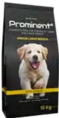 Hecht 738 - Prominent dog Active - 3