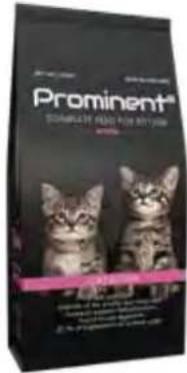 Hecht 738 - Prominent cat Kitten - 4