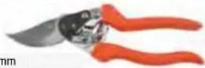 Hecht 738 - CC 421 - 2