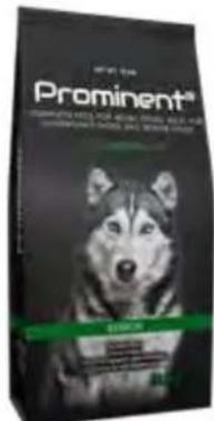 Hecht 738 - Prominent dog Senior - 4