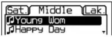 Sat. Middle Lak. Young Wom Happy Day