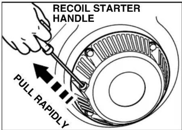 RECOIL STARTER HANDLE PULL RAPIDLY