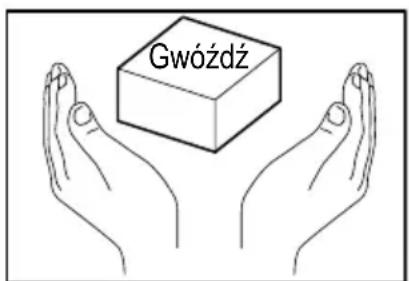 Gwóźdź
