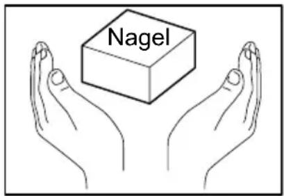 Nagel
